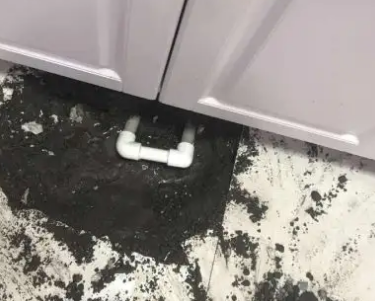 龙川查漏水哪家好